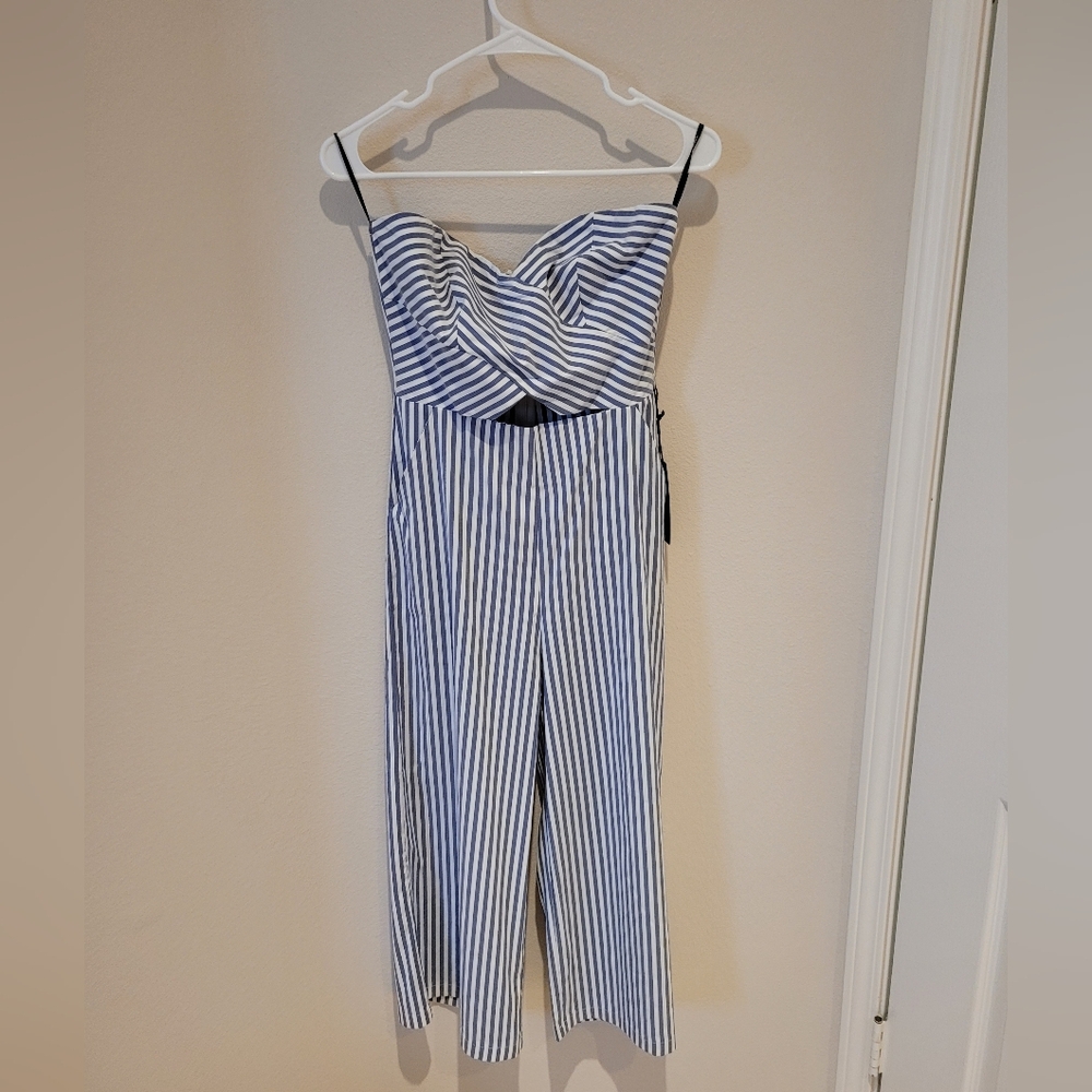 Forever 21 Blue and White Striped Jumpsuit